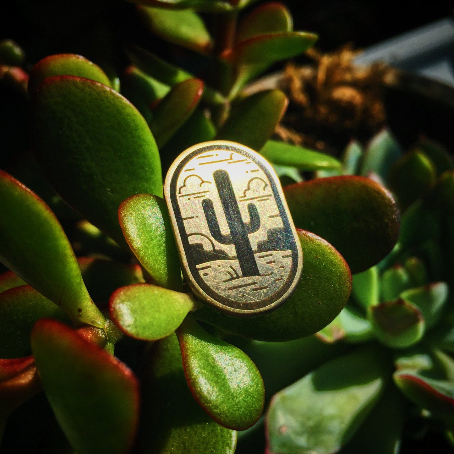 Saguaro Pin